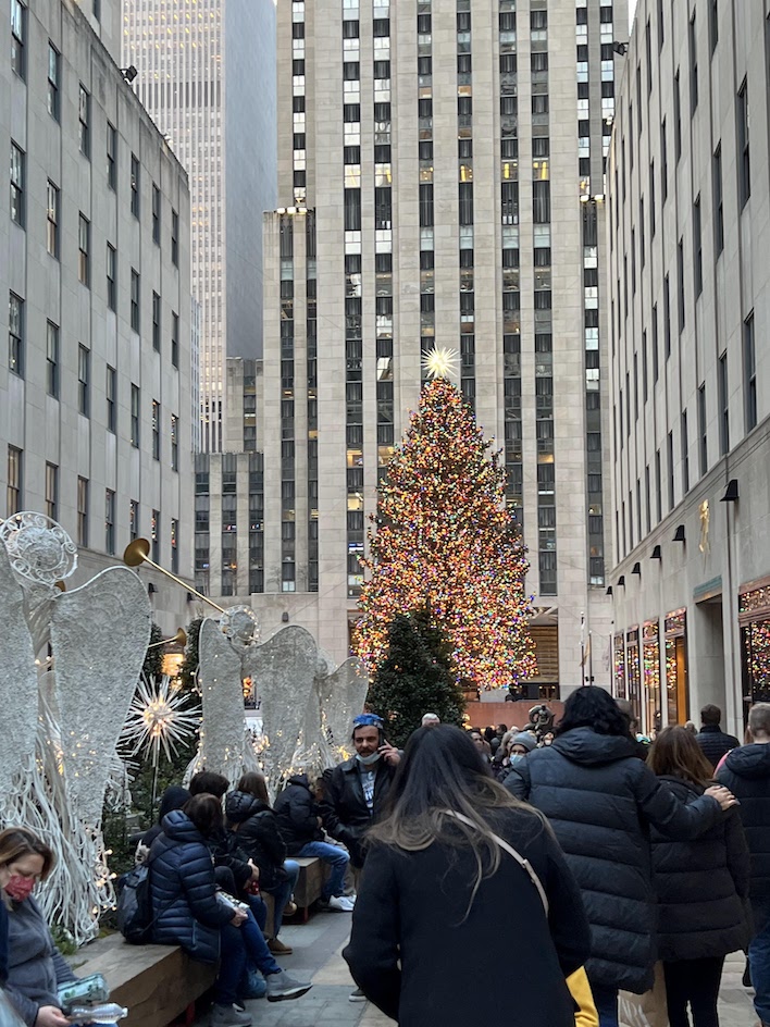 NYCTour tree