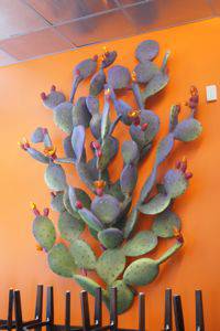 Prickly_Pear_wall