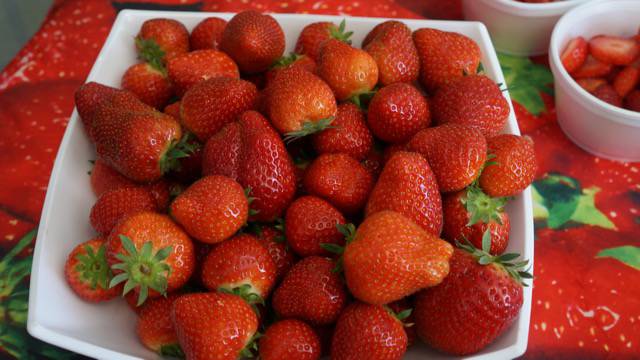 Roadtrip strawberries
