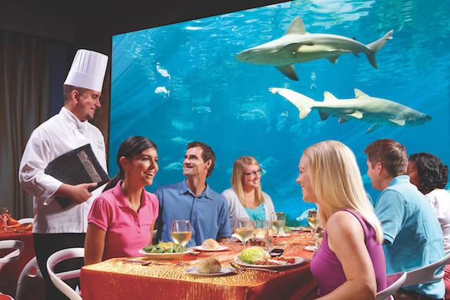 SeaWorld Orlando Sharks Underwater Grill Restaurant copy