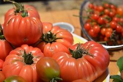 Divas roasted tomatoes