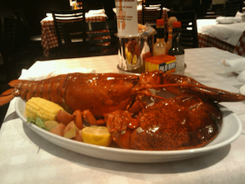 Big Fin lobster