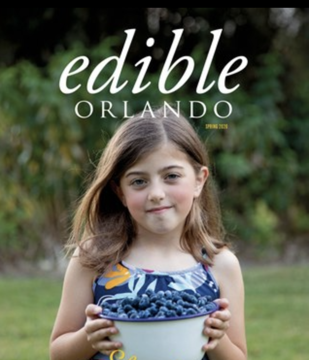 Edible cover