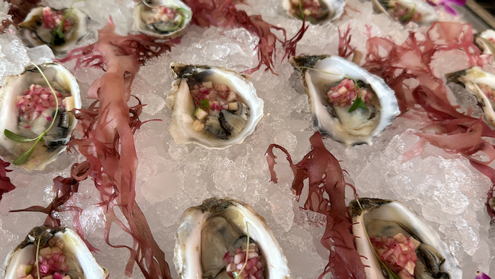 Illume Dinner Party oysters 2