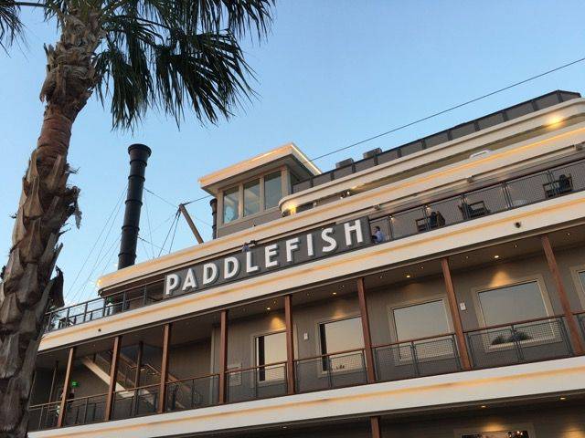 Paddelfish exterior