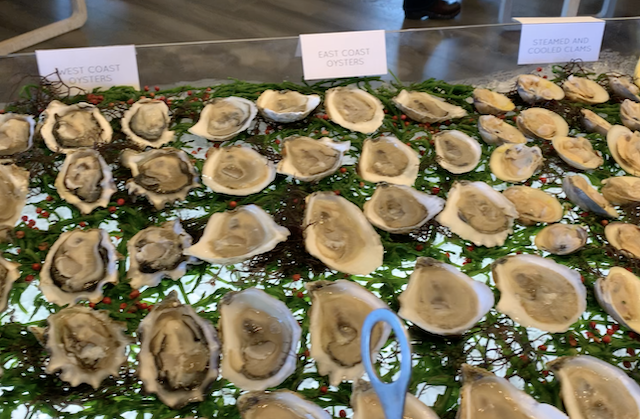 ce brunch oysters